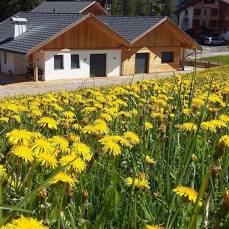 Chalet Soredl Antermoia Exterior foto