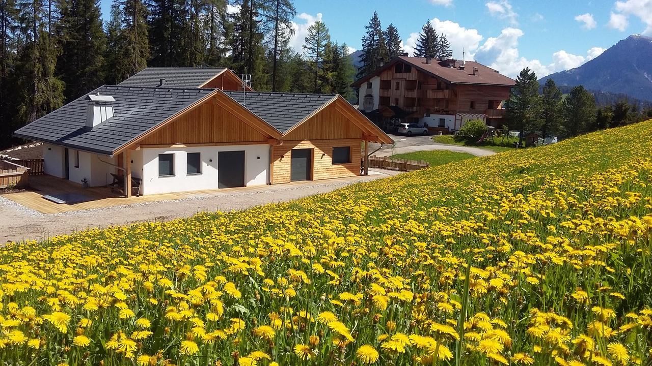 Chalet Soredl Antermoia Exterior foto