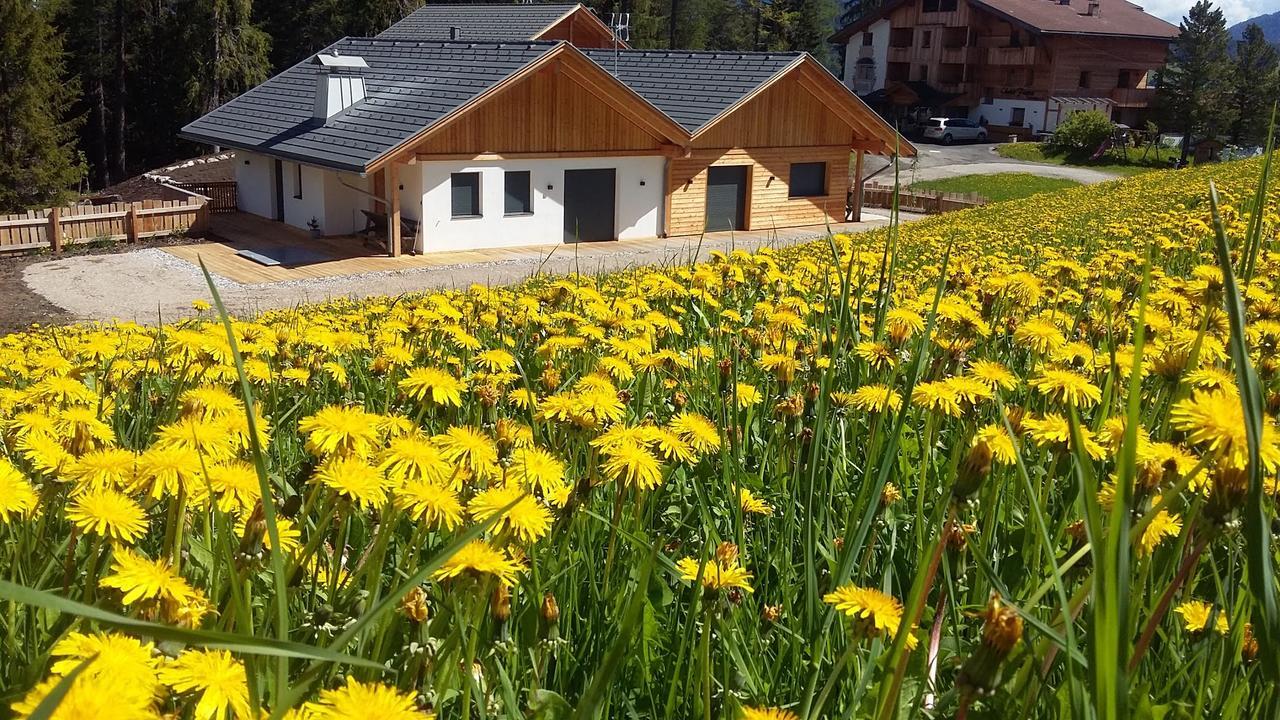 Chalet Soredl Antermoia Exterior foto